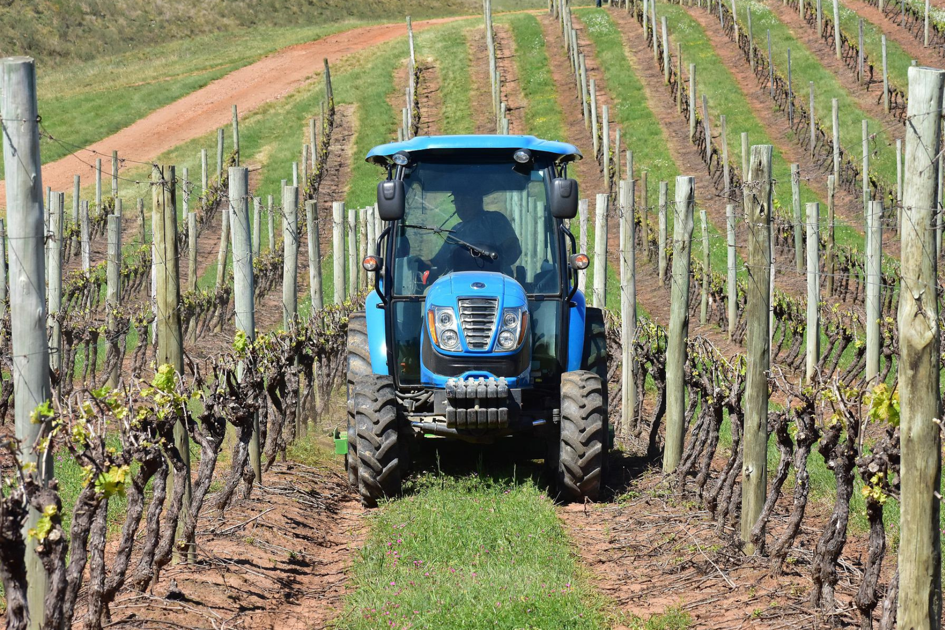 Rischio agricolo_Bencan