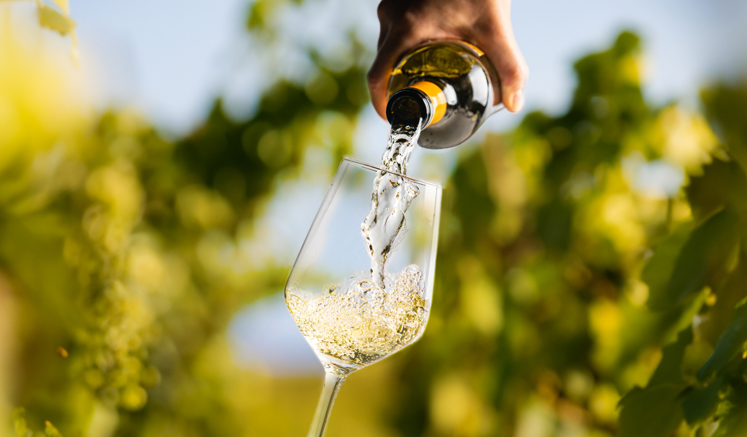 Soggetti destinatari polizza aziende vinicole