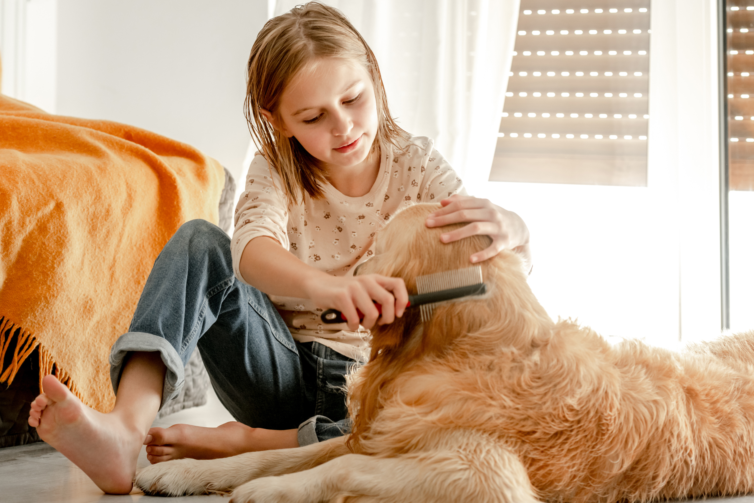 Attivazione polizza animali domestici
