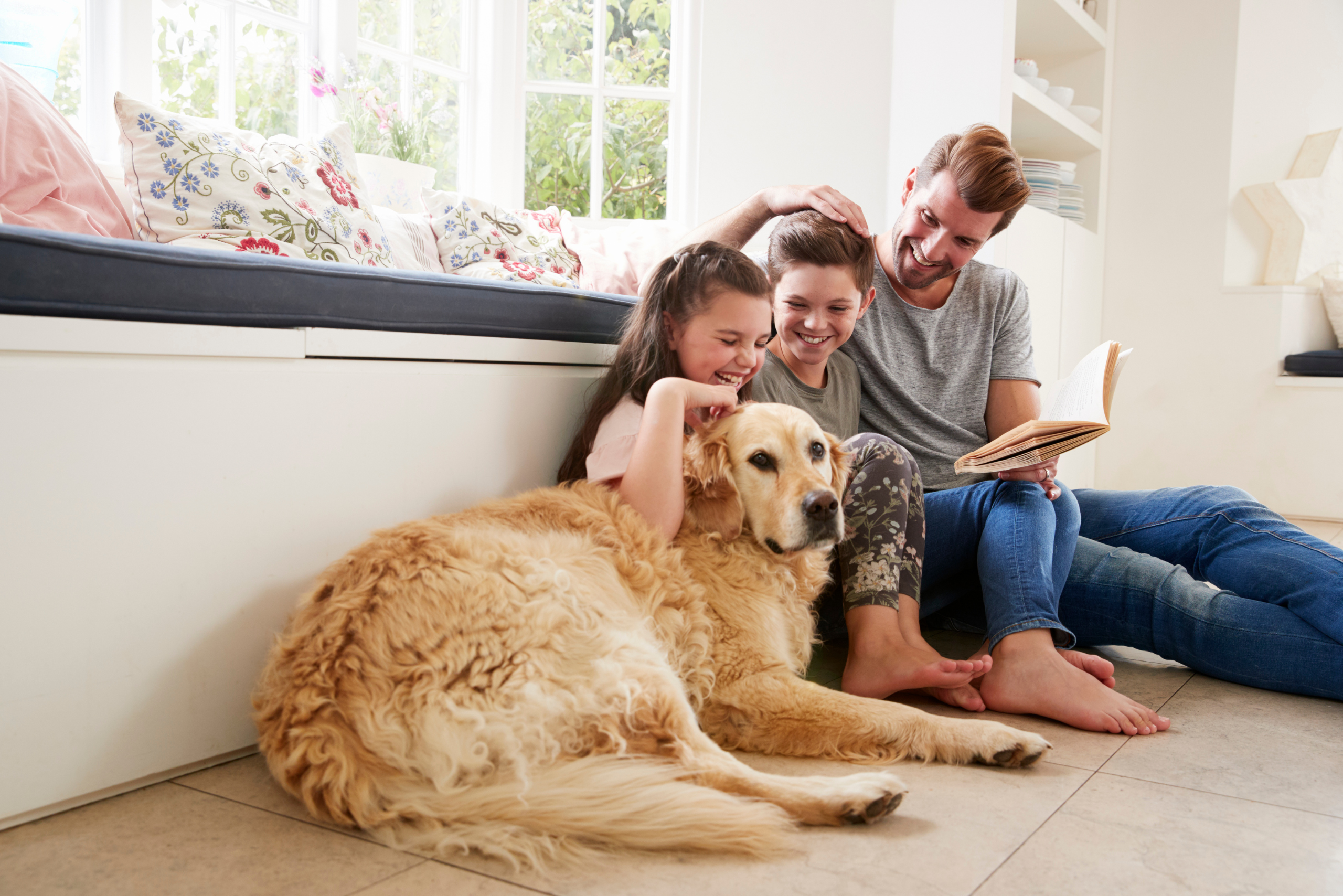 Cane e gatto famiglia