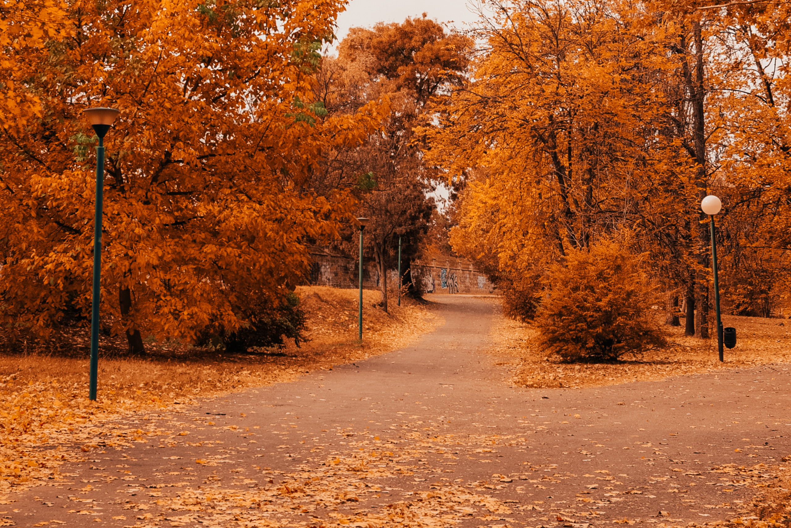 Dove Andare in Autunno con la Tua Auto a Noleggio a Lungo Termine