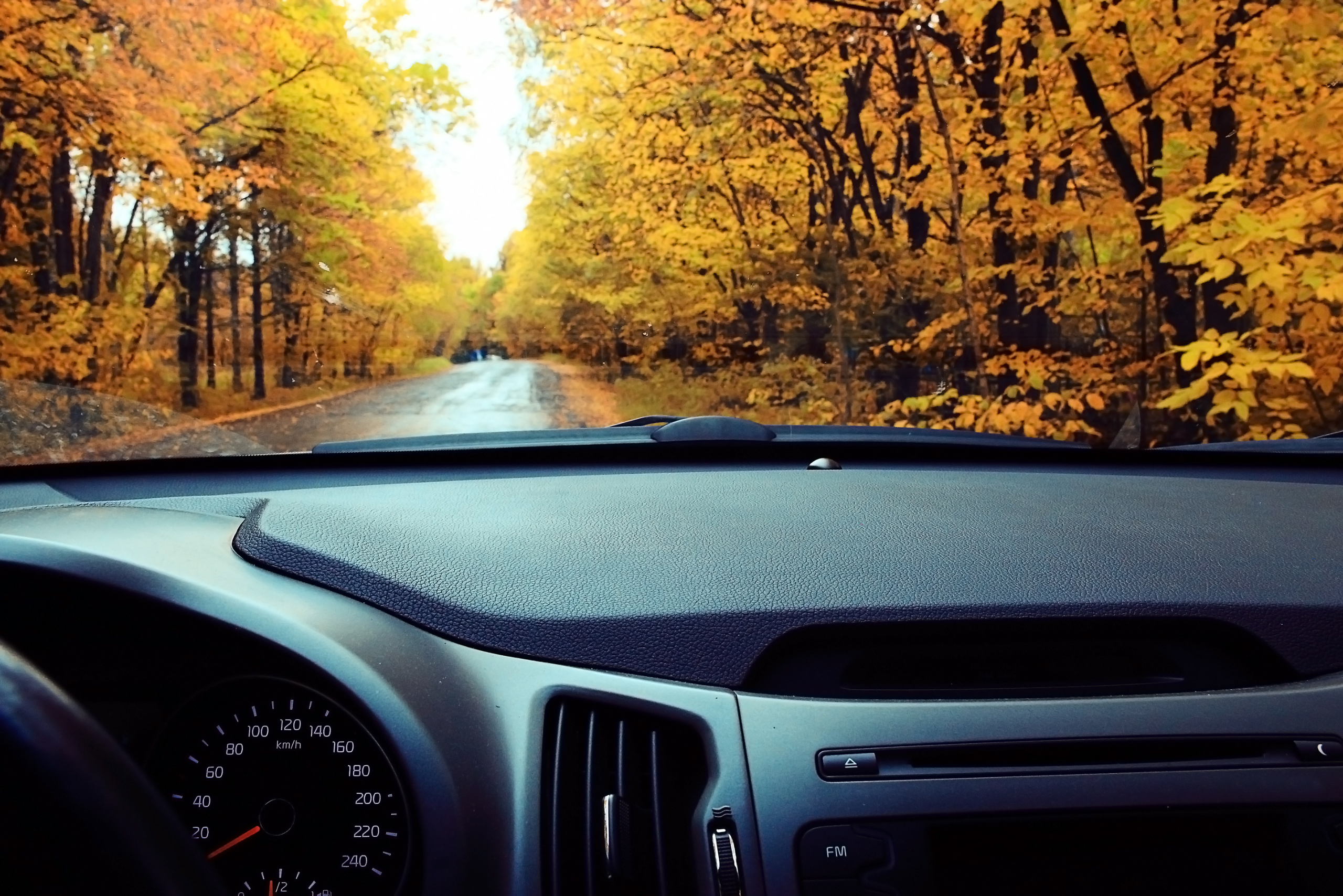 La soluzione ideale per l autunno e il foliage