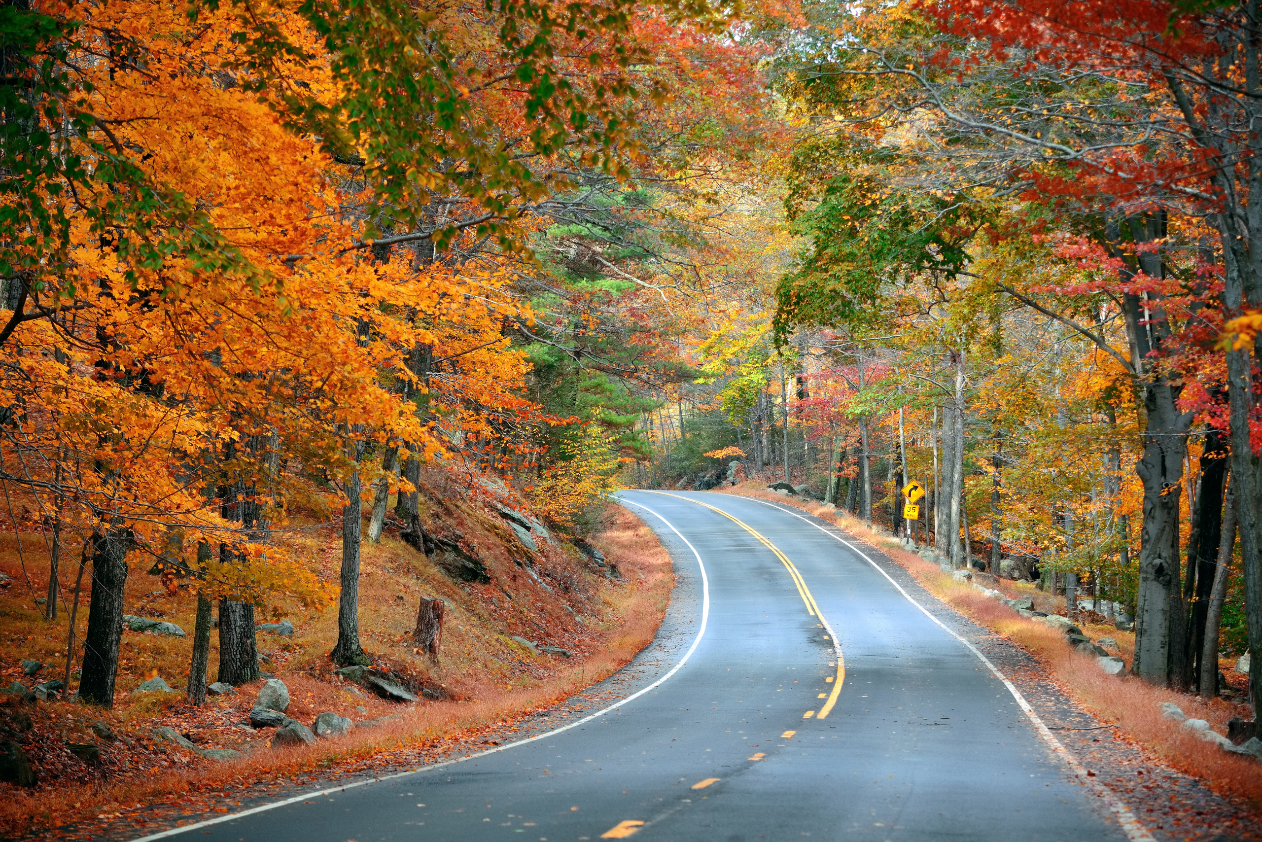 Noleggio a Lungo Termine La soluzione ideale per l’autunno e il foliage